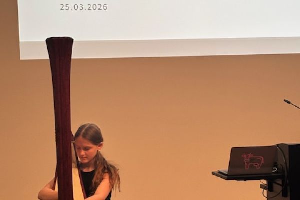 Musikalischer Beitrag im Kunstmuseum